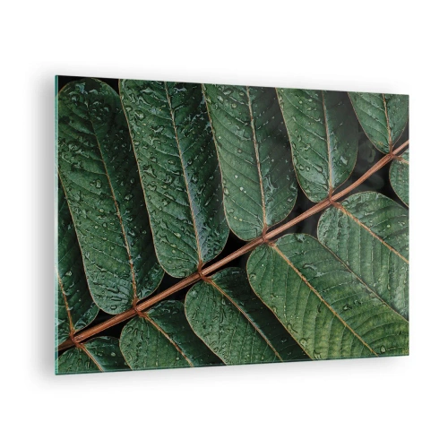Cuadro sobre vidrio - Impresiones sobre Vidrio - Primer plano de hojas verdes con gotas de agua. - 70x50cm - En un ritmo verde - Decoración de pared moderna para salón y dormitorio ARTTOR