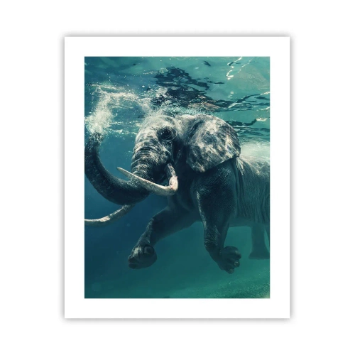 Póster - A todos nos gusta nadar - 40x50 cm