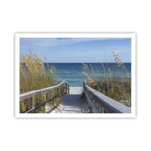 Póster - Camino a la playa con vistas al mar - 100x70cm - En el sol, en el viento - Decoración de pared moderna para salón y dormitorio ARTTOR