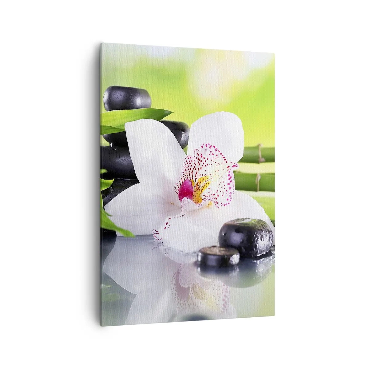 Cuadro sobre lienzo - Impresión de Imagen - Orquídea, piedras y bambú en una armoniosa composición de spa. - 70x100cm - Frescura - Decoración de pared moderna para salón y dormitorio ARTTOR