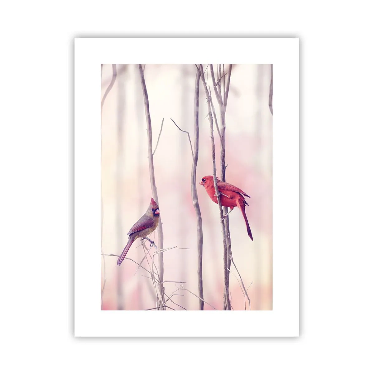 Póster - Historia de un bosque rosa - 30x40 cm