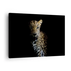 Cuadro sobre lienzo - Impresión de Imagen - Un leopardo sobre un fondo oscuro con una mirada intensa. - 70x50cm - Belleza oscura - Decoración de pared moderna para salón y dormitorio ARTTOR