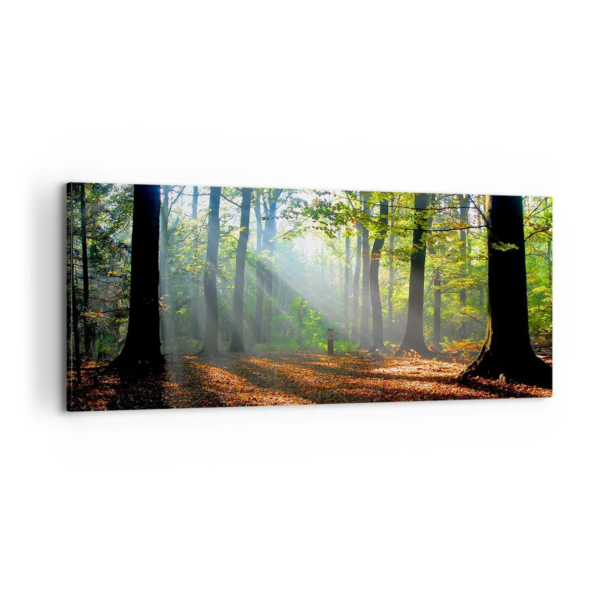 Cuadro sobre lienzo - Impresión de Imagen - Resplandores y sombras - 100x40 cm