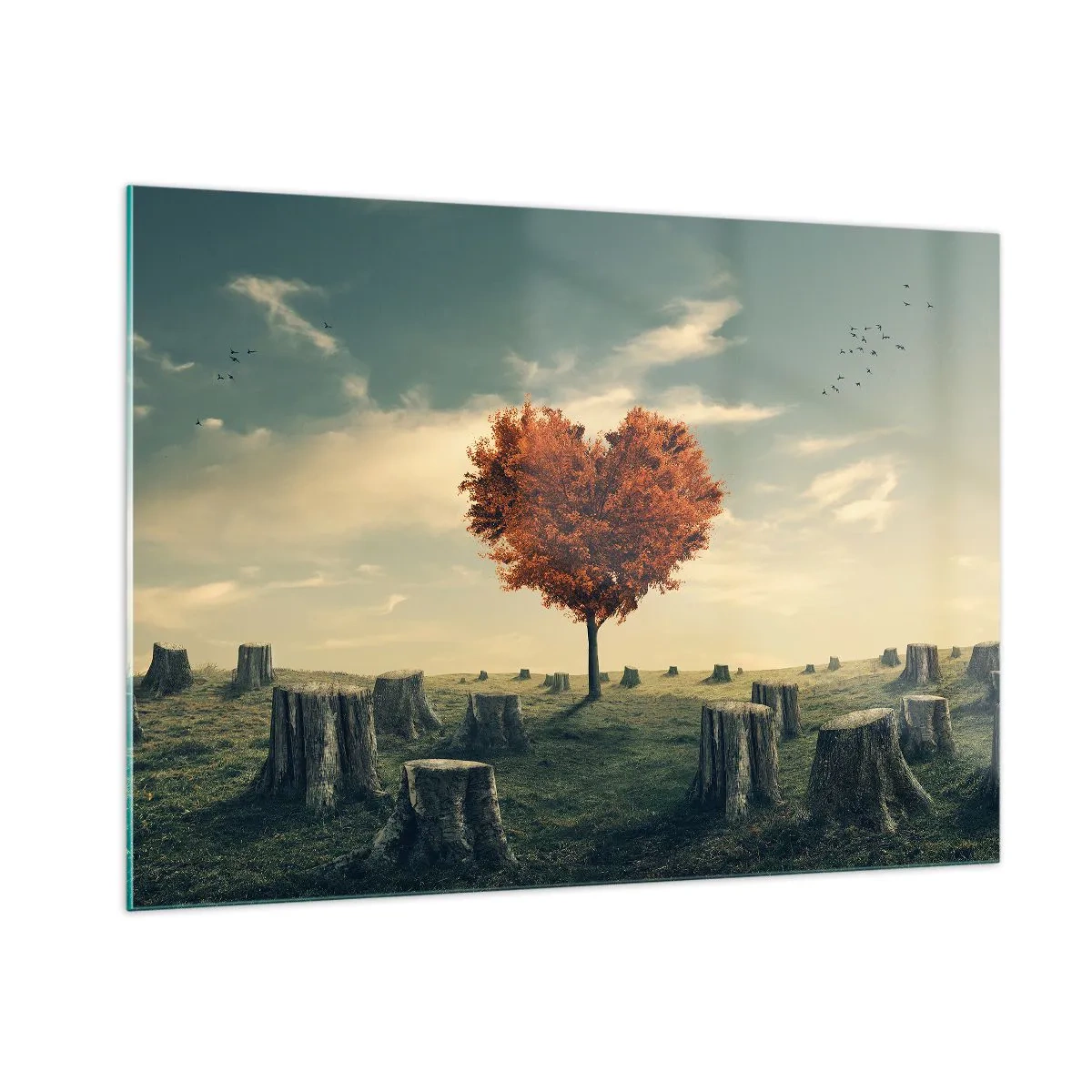 Cuadro sobre vidrio - Impresiones sobre Vidrio - Un árbol en forma de corazón rodeado de troncos talados en un claro. - 100x70cm - Todavía hay esperanza - Decoración de pared moderna para salón y dormitorio ARTTOR