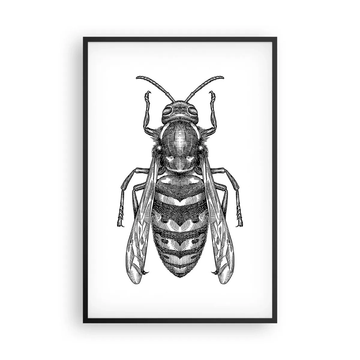 Póster en marco negro - Desde un planeta de insectos - 61x91 cm