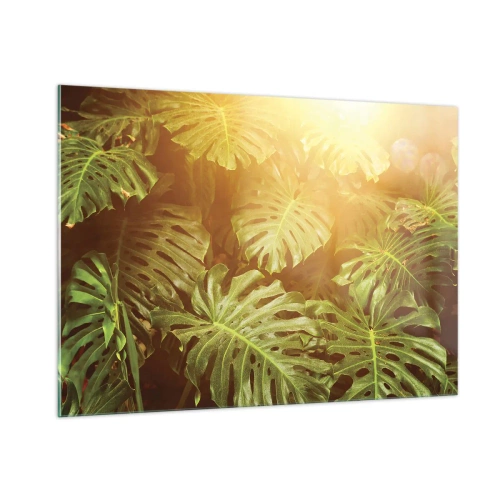 Cuadro sobre vidrio - Impresiones sobre Vidrio - Hojas verdes de monstera bajo la luz dorada del sol tropical. - 100x70cm - Hacia el verdor... - Decoración de pared moderna para salón y dormitorio ARTTOR