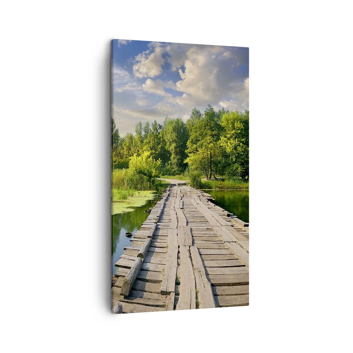 Cuadro sobre lienzo - Impresión de Imagen - Verano, verano en todas partes - 45x80 cm