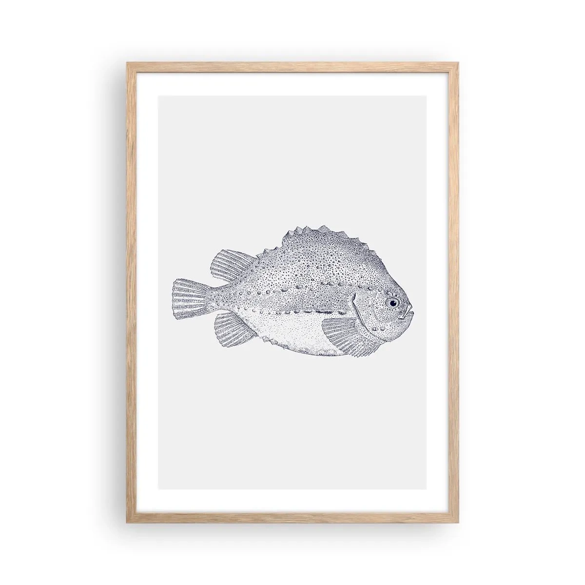 Póster en marco roble claro - Para el álbum del naturalista - 50x70 cm