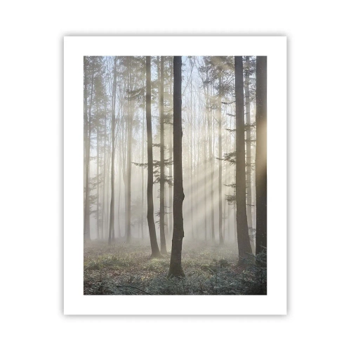 Póster - La niebla también está despierta - 40x50 cm
