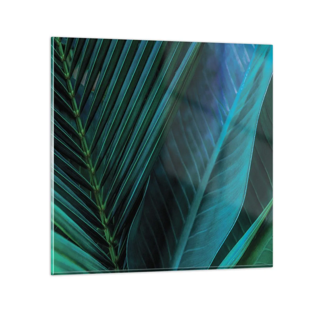 Cuadro sobre vidrio - Impresiones sobre Vidrio - Anatomía del verde - 70x70 cm