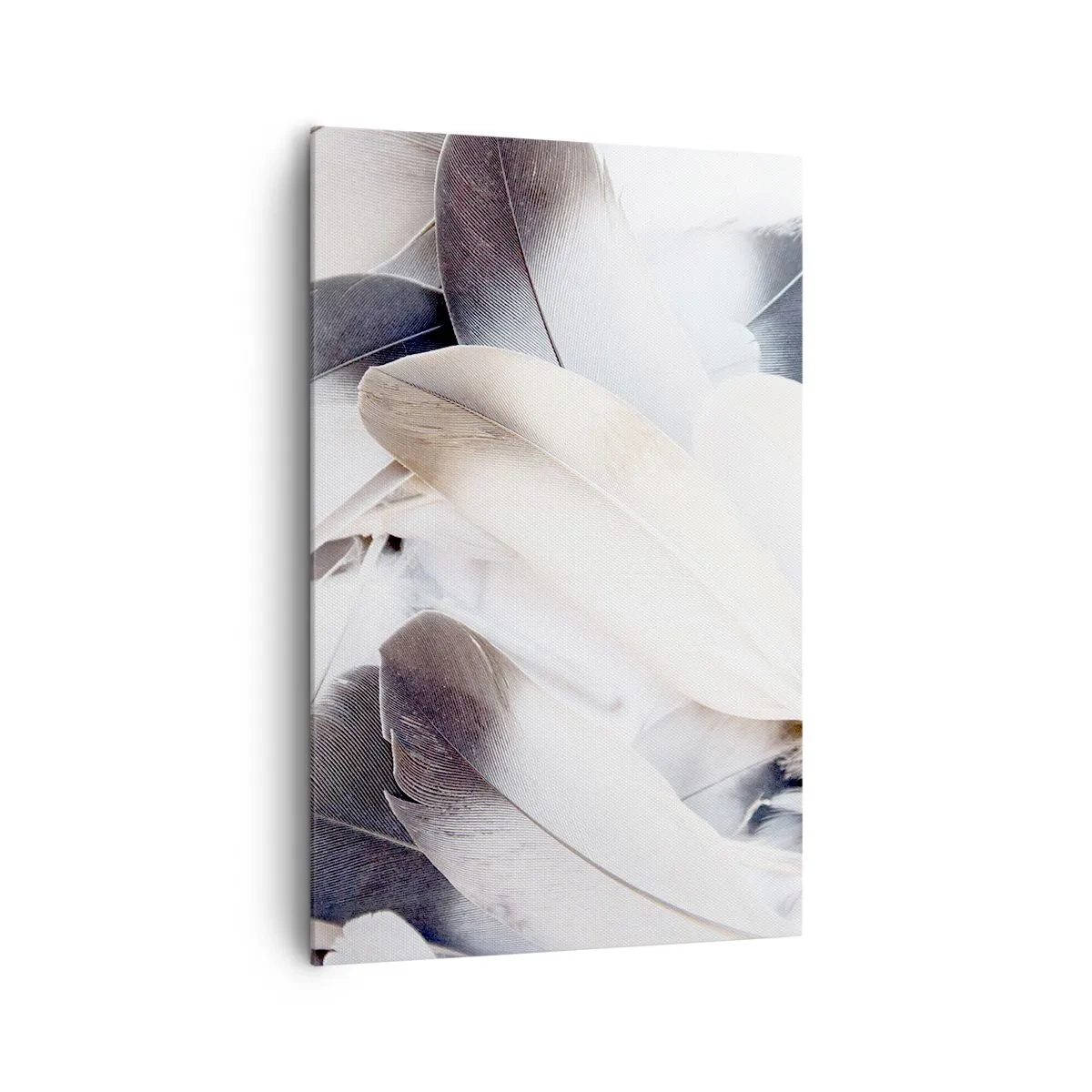 Cuadro sobre lienzo - Impresión de Imagen - Primer plano de delicadas plumas en tonos blancos y grises. - 80x120cm - Casi angelical - Decoración de pared moderna para salón y dormitorio ARTTOR