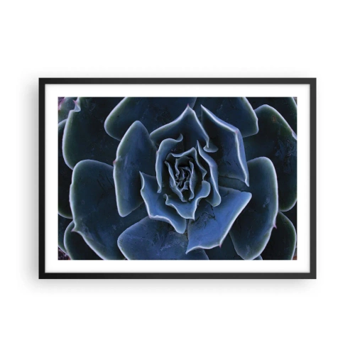 Póster en marco negro - Primer plano de una roseta suculenta verde - 70x50cm - Flor del desierto - Decoración de pared moderna para salón y dormitorio ARTTOR