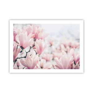 Póster - La perfección de la sutileza - 70x50 cm