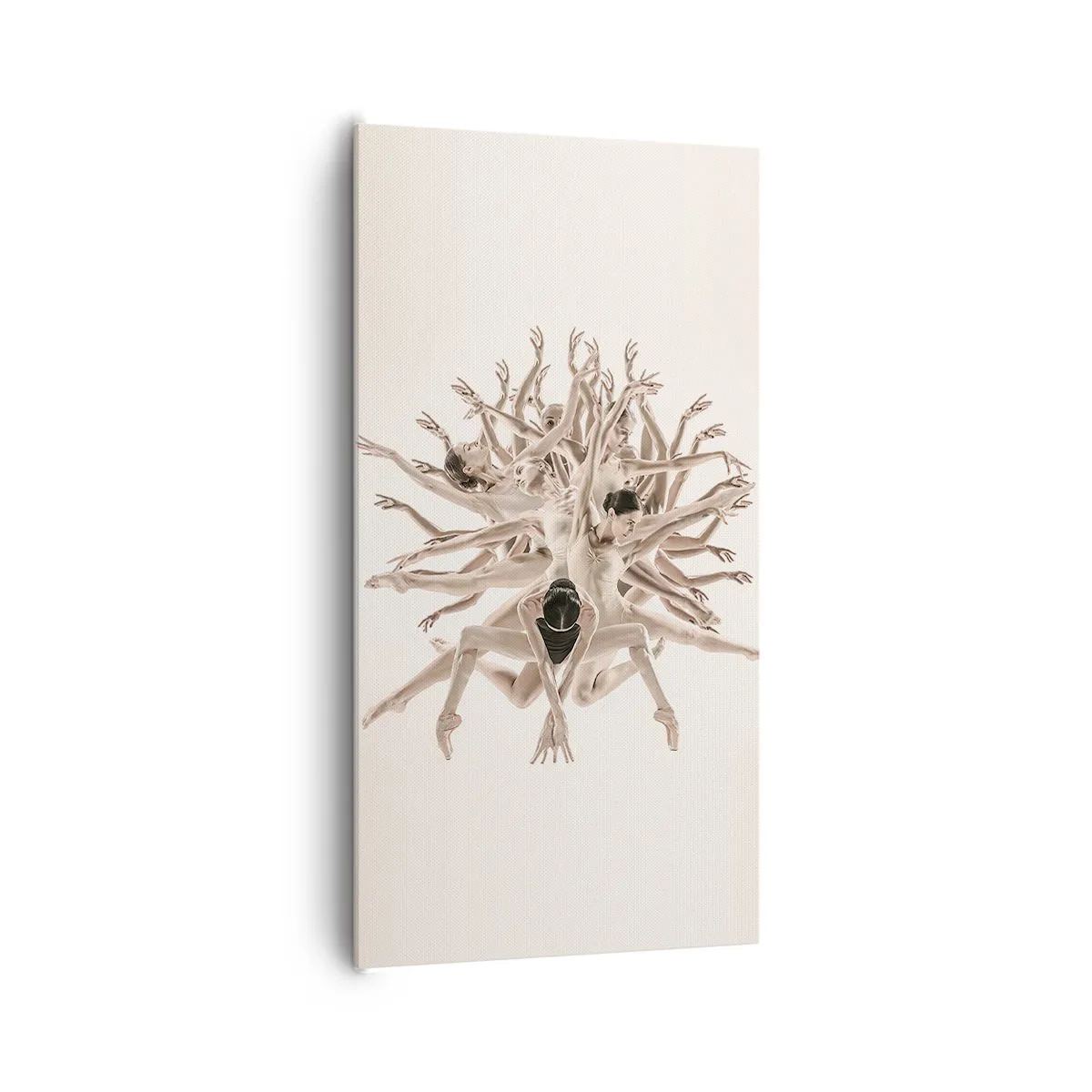 Cuadro sobre lienzo - Impresión de Imagen - Floreciendo en la danza - 65x120 cm