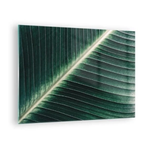 Cuadro sobre vidrio - Impresiones sobre Vidrio - Detalle de una hoja de plátano en un intenso tono verde. - 70x50cm - El ritmo de la naturaleza - Decoración de pared moderna para salón y dormitorio ARTTOR