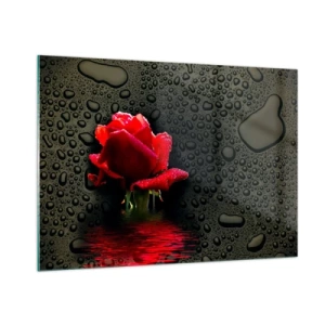 Cuadro sobre vidrio - Impresiones sobre Vidrio - Rosa roja con gotas de agua sobre un fondo oscuro - 100x70cm - Rojo y negro - Decoración de pared moderna para salón y dormitorio ARTTOR