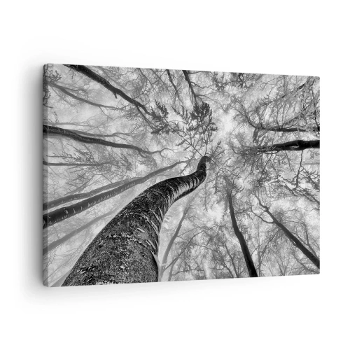 Cuadro sobre lienzo - Impresión de Imagen - Perspectiva de árboles en un bosque vistos desde abajo en tonos de gris. - 70x50cm - Carrera hacia la luz - Decoración de pared moderna para salón y dormitorio ARTTOR
