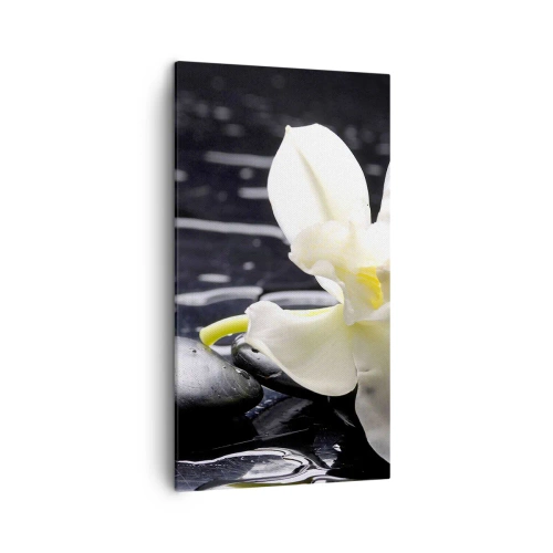 Cuadro sobre lienzo - Impresión de Imagen - Un estudio en blanco y negro - 45x80 cm