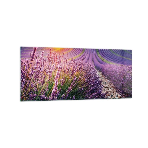 Cuadro sobre vidrio - Impresiones sobre Vidrio - Campo de lavanda al atardecer - 120x50cm - Pradera fragante - Decoración de pared moderna para salón y dormitorio ARTTOR