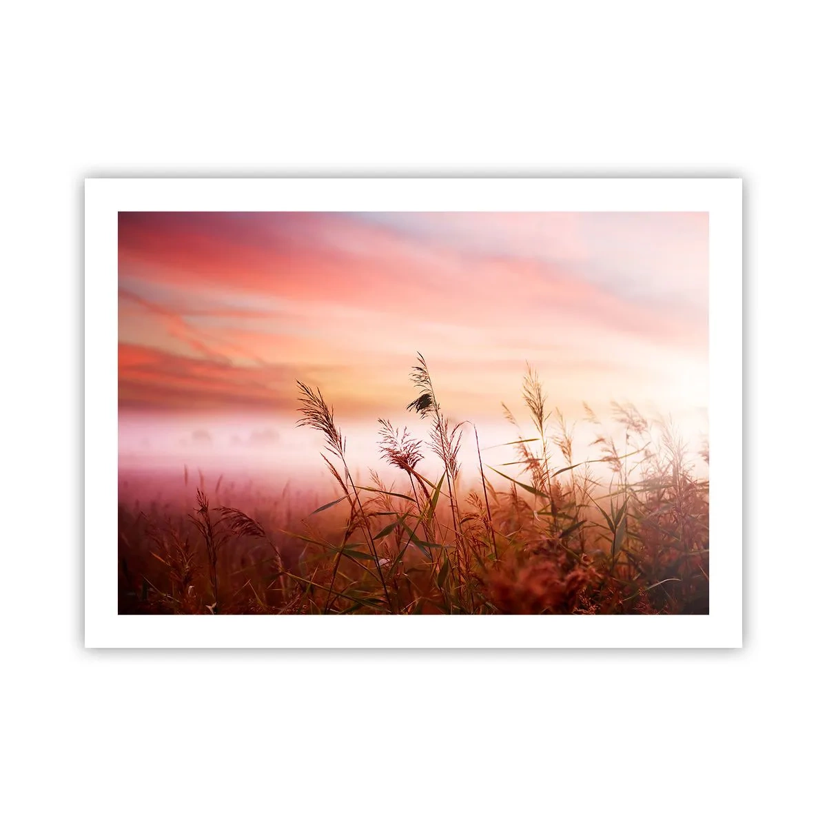 Póster - El arte del viento - 70x50 cm