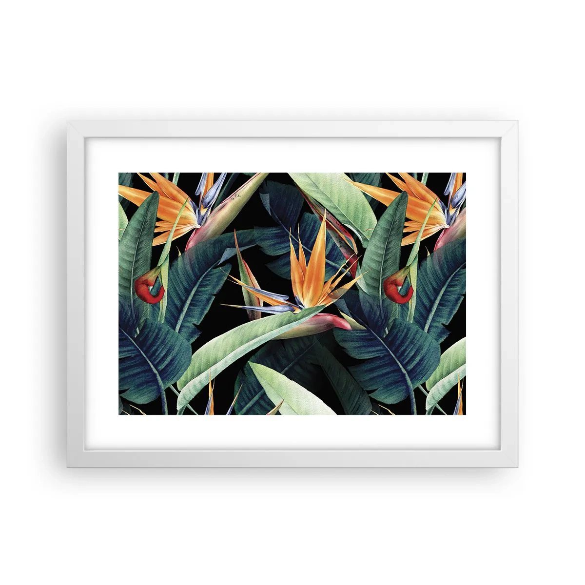 Póster en marco blanco - Flores de llamas de los trópicos - 40x30 cm