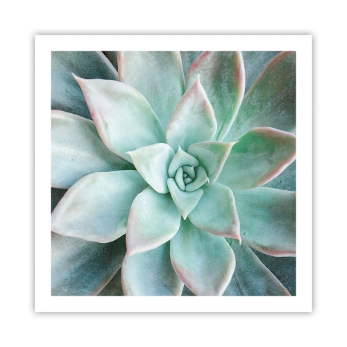 Póster - El corazón del desierto - 60x60 cm