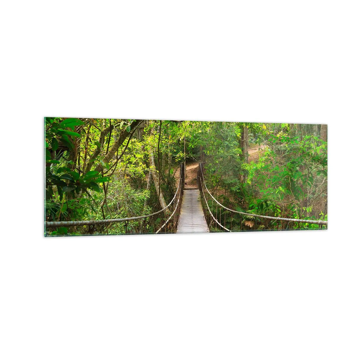 Cuadro sobre vidrio - Impresiones sobre Vidrio - Un puente colgante rodeado de una selva tropical verde. - 140x50cm - Porque la vid crece en el jardín - Decoración de pared moderna para salón y dormitorio ARTTOR