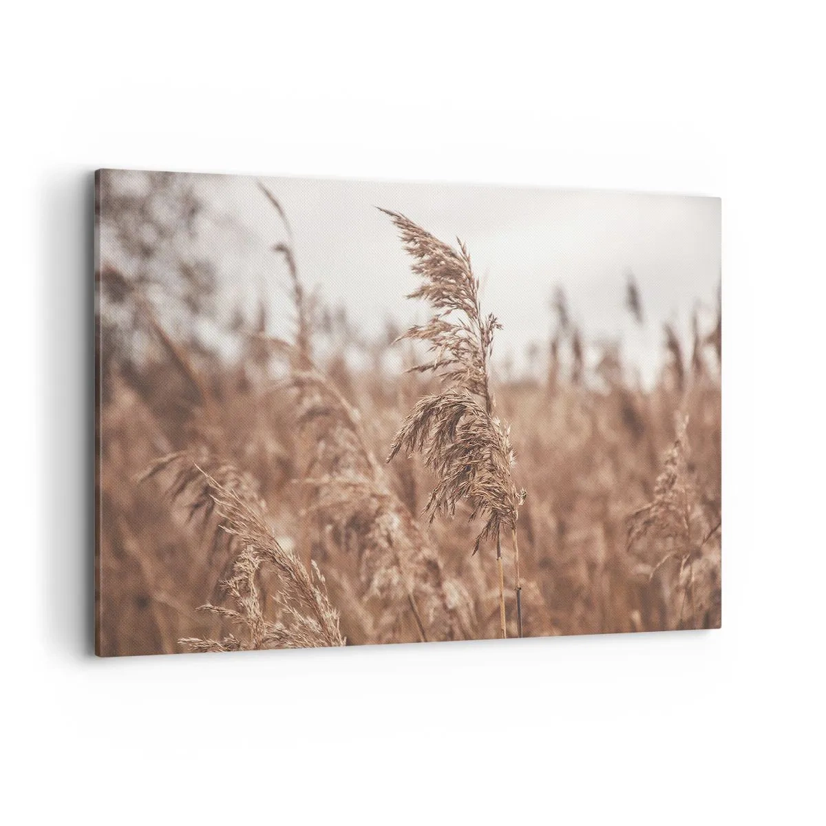 Cuadro sobre lienzo - Impresión de Imagen - Hierbas doradas con el paisaje otoñal como telón de fondo - 120x80cm - El otoño ya está en los campos - Decoración de pared moderna para salón y dormitorio ARTTOR