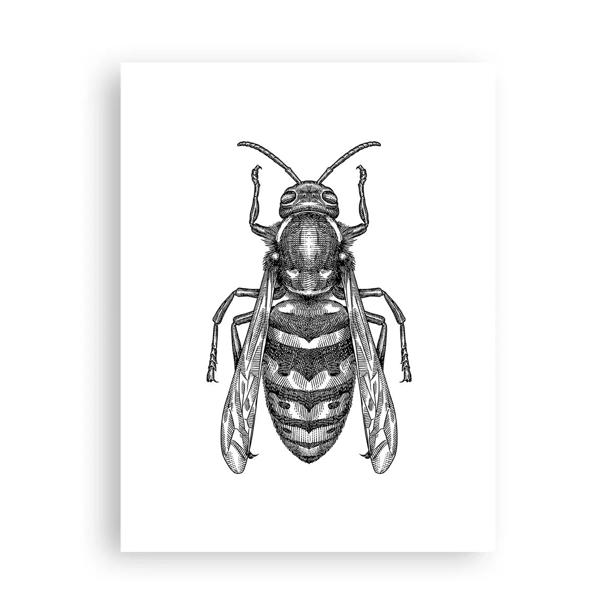 Póster - Desde un planeta de insectos - 30x40 cm