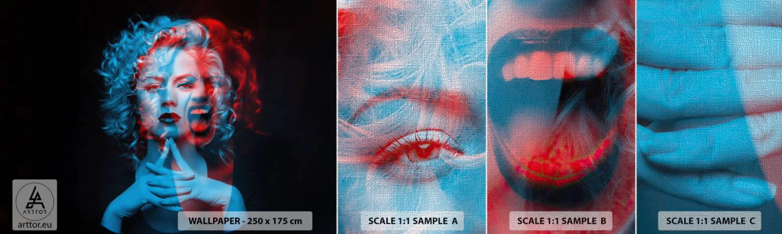 Muestra de fotomural Premium Canvas - Alter ego - Abstracción, Mujer, cara de mujer - 100x30 cm