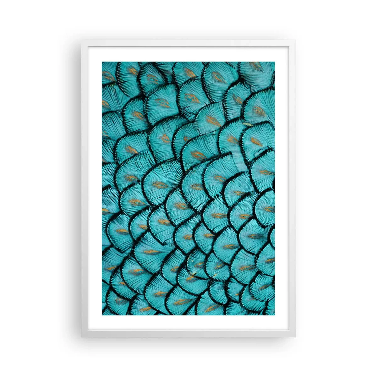 Póster en marco blanco - La gran gala de las plumas - 50x70 cm