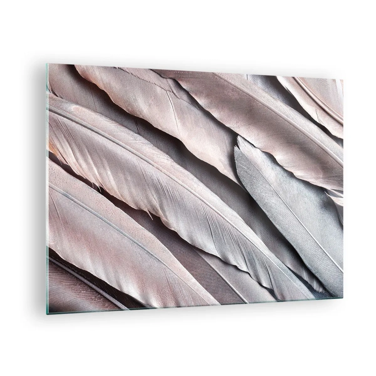 Cuadro sobre vidrio - Impresiones sobre Vidrio - Primer plano de plumas pastel en tonos rosa y plata. - 70x50cm - En rosa plateado - Decoración de pared moderna para salón y dormitorio ARTTOR