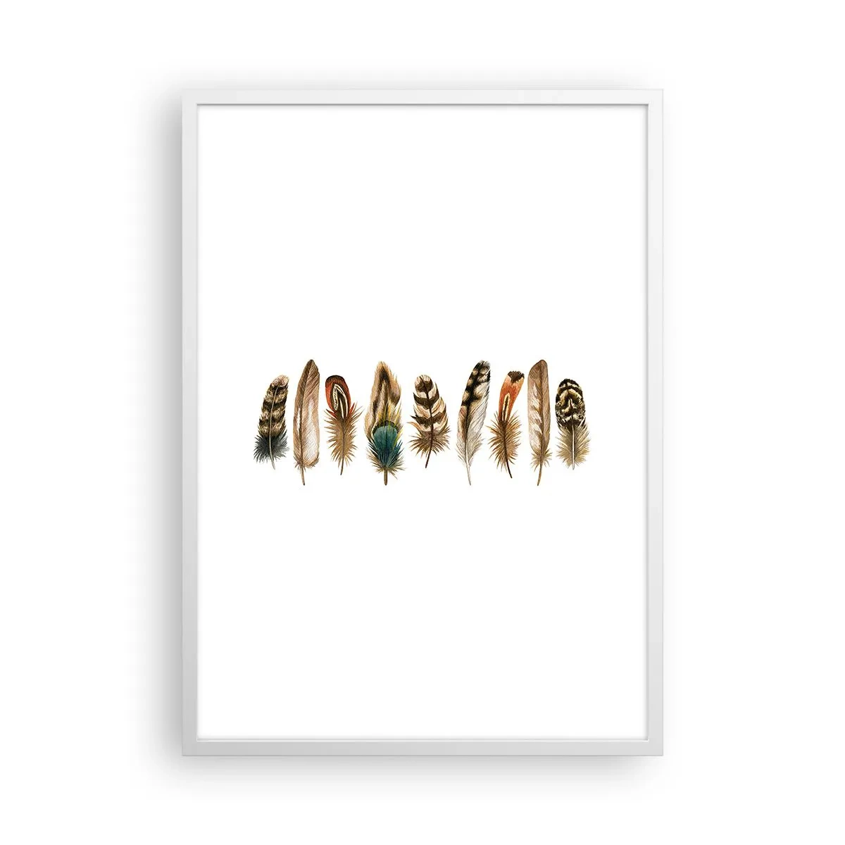 Póster en marco blanco - Estudio de plumas - 50x70 cm