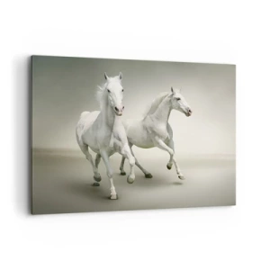 Cuadro sobre lienzo - Impresión de Imagen - Dos caballos blancos galopando sobre un fondo claro - 100x70cm - ¡Poder blanco! - Decoración de pared moderna para salón y dormitorio ARTTOR