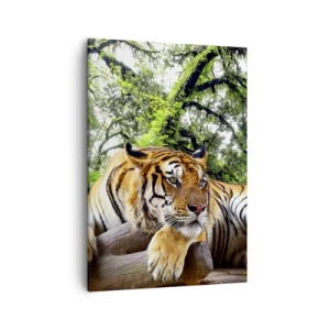 Cuadro sobre lienzo - Impresión de Imagen - Un tigre descansando en un bosque tropical. - 50x70cm - Atentamente - Decoración de pared moderna para salón y dormitorio ARTTOR