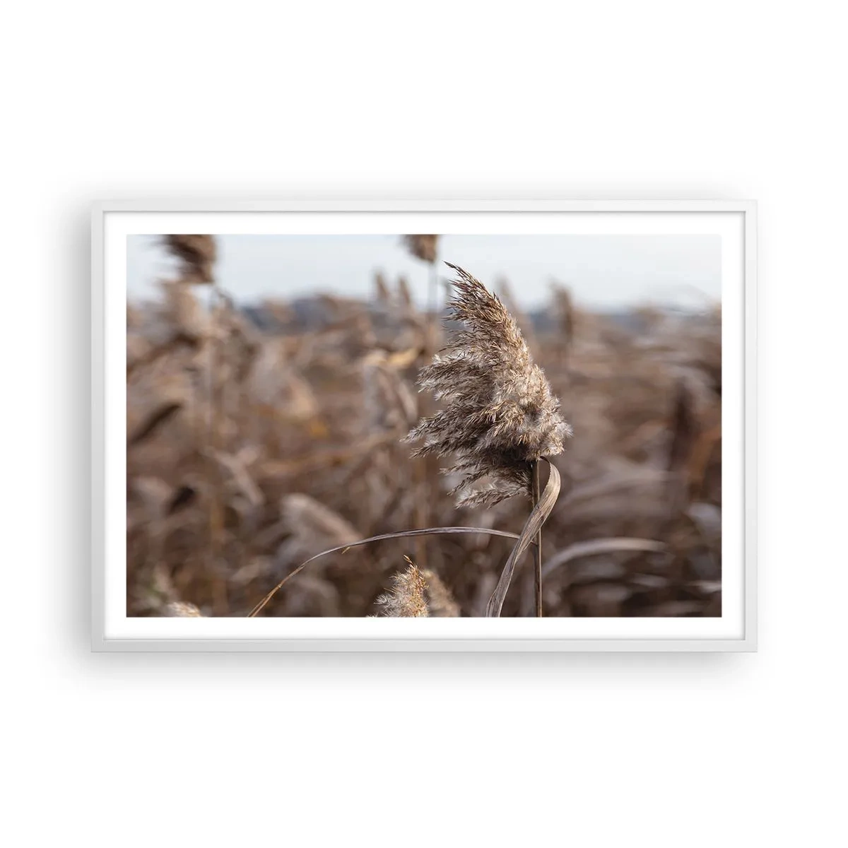 Póster en marco blanco - Es hora de volar con el viento - 91x61 cm
