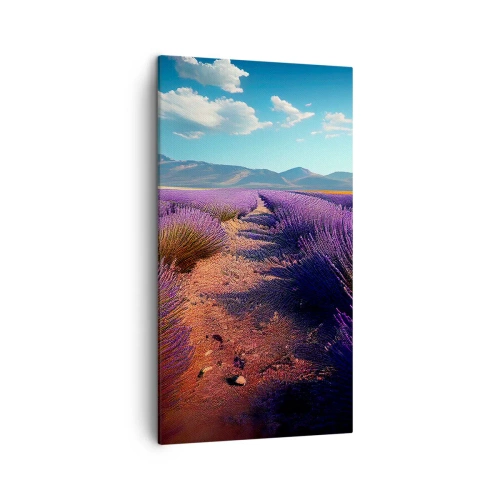 Cuadro sobre lienzo - Impresión de Imagen - Campos fragantes - 45x80 cm
