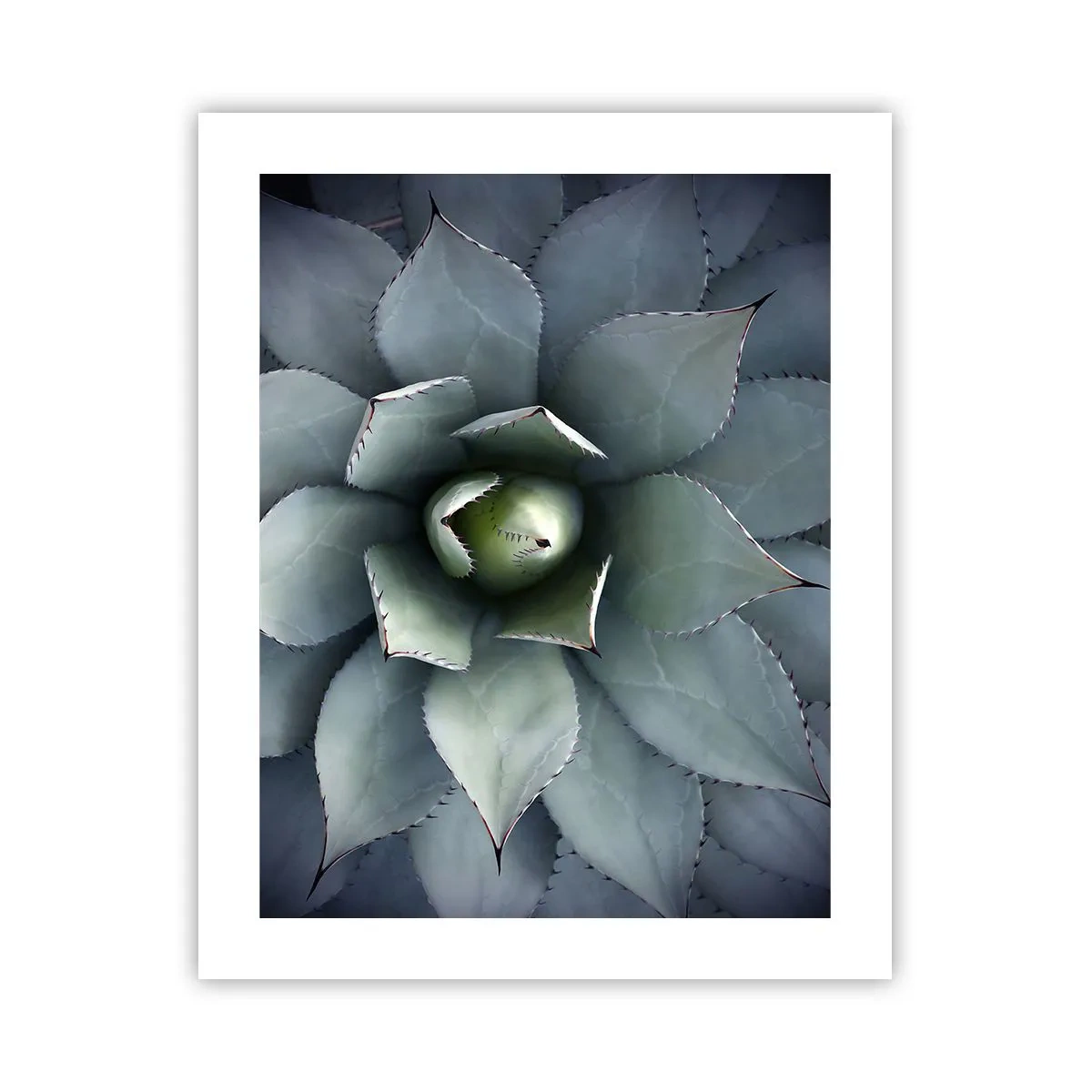 Póster - Perfección natural - 40x50 cm