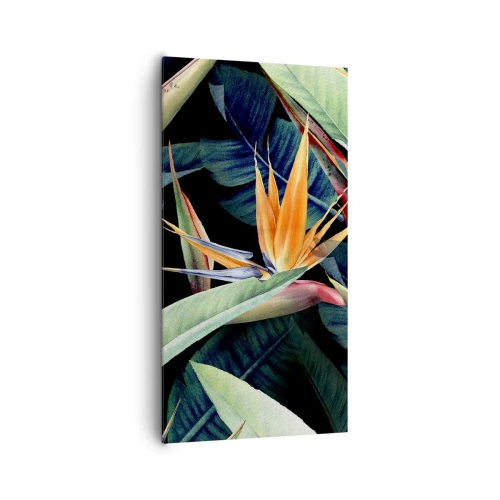 Cuadro sobre lienzo - Impresión de Imagen - Flores de llamas de los trópicos - 65x120 cm