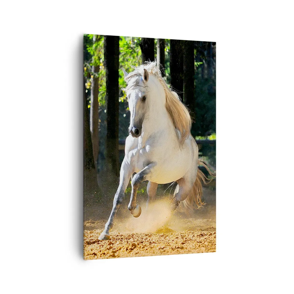 Cuadro sobre lienzo - Impresión de Imagen - Un caballo blanco galopando a través de un claro del bosque. - 80x120cm - Como en una novela de fantasía - Decoración de pared moderna para salón y dormitorio ARTTOR