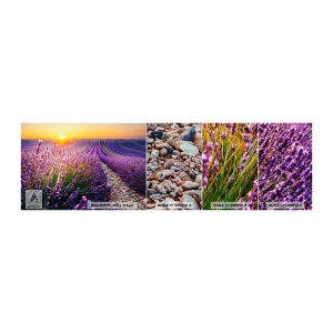 Muestra De Fotomural Standard Eco - Pradera fragante - Paisaje, campo de lavanda, Provenza - 100x30 cm
