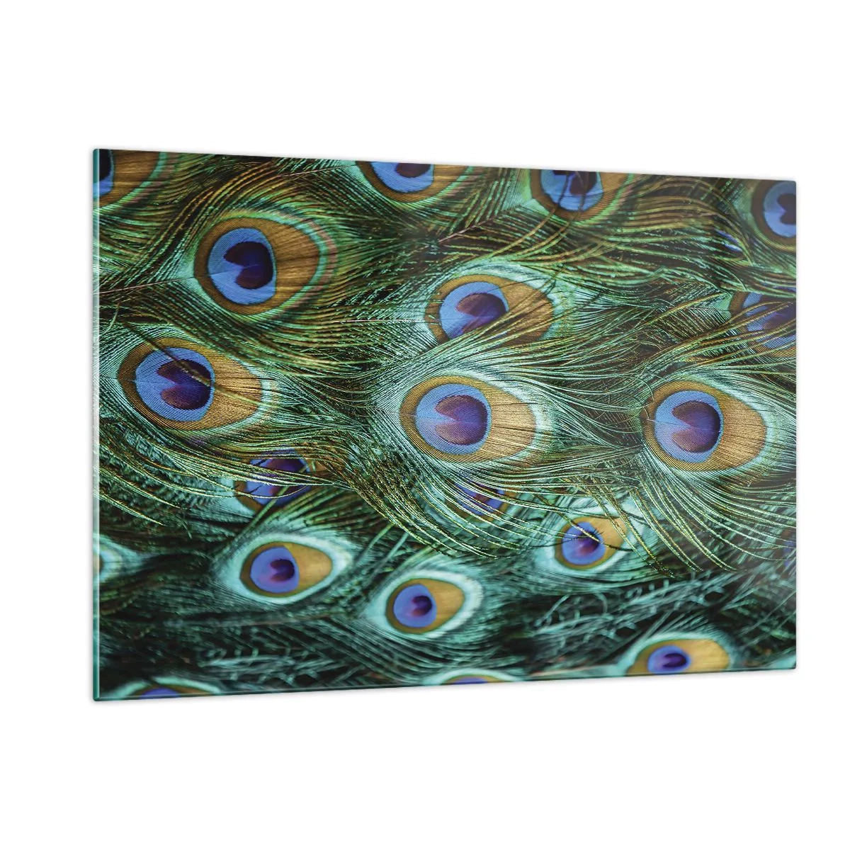Cuadro sobre vidrio - Impresiones sobre Vidrio - Detalle de plumas de pavo real con ojos distintivos. - 120x80cm - Mirada de pavo real - Decoración de pared moderna para salón y dormitorio ARTTOR