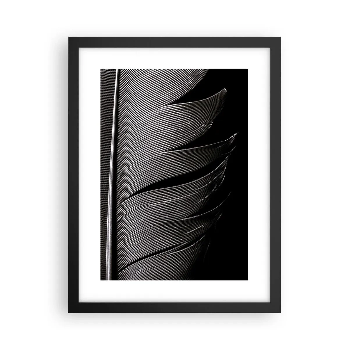 Póster en marco negro - Pluma - una construcción maravillosa - 30x40 cm