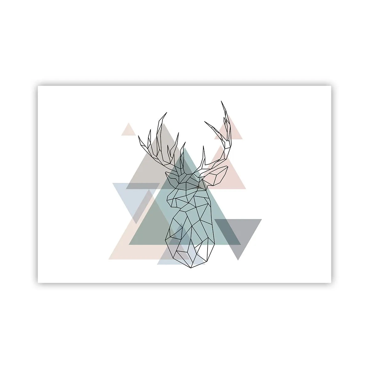 Póster - En un bosque geométrico - 91x61 cm