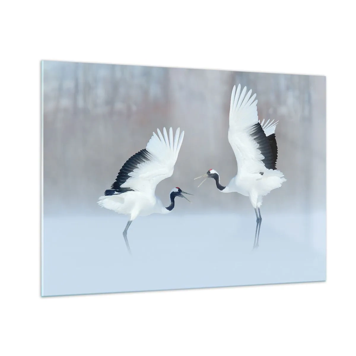 Cuadro sobre vidrio - Impresiones sobre Vidrio - Grullas danzantes con el telón de fondo de un paisaje invernal - 100x70cm - Danza en la niebla - Decoración de pared moderna para salón y dormitorio ARTTOR