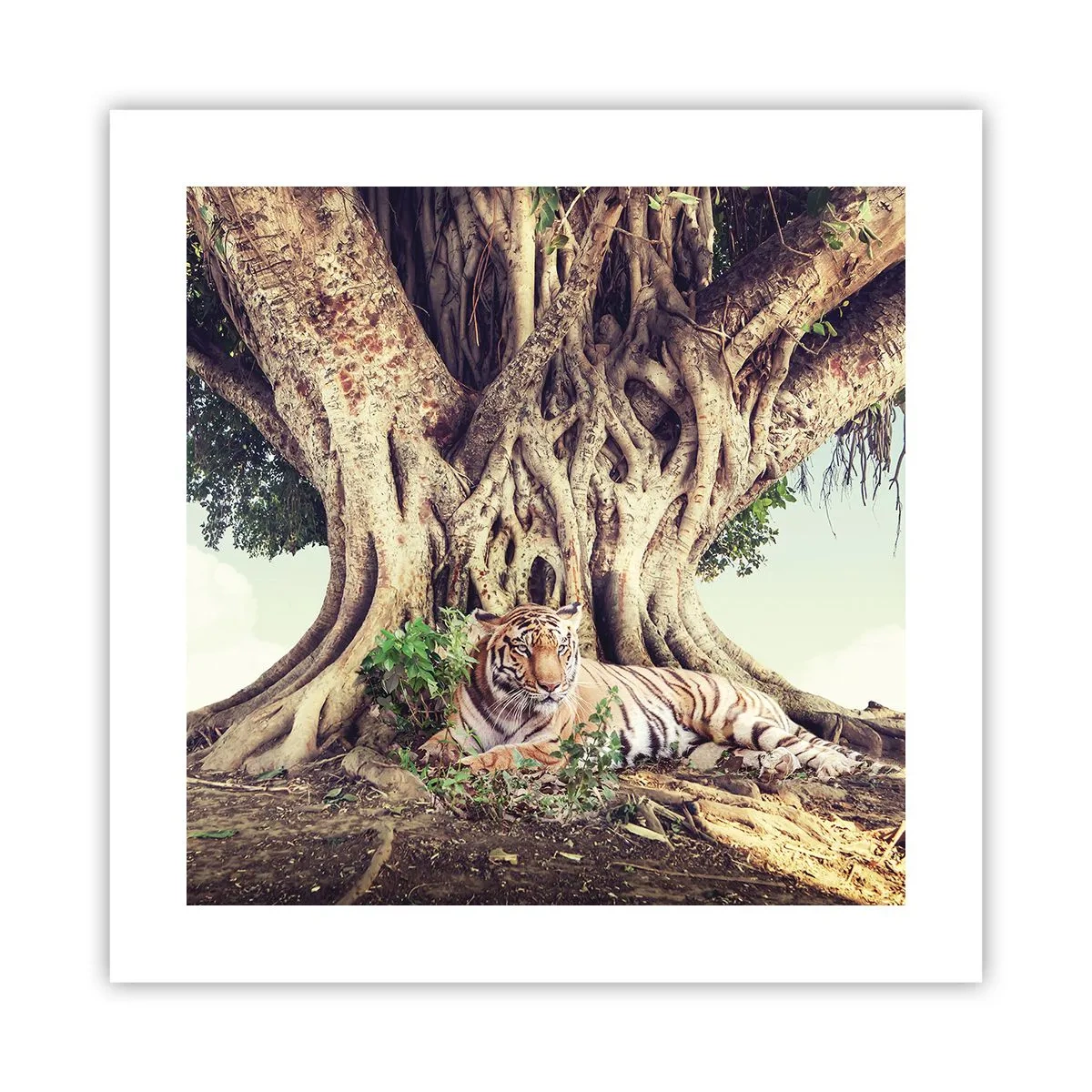 Póster - Una visión desde el Génesis - 40x40 cm