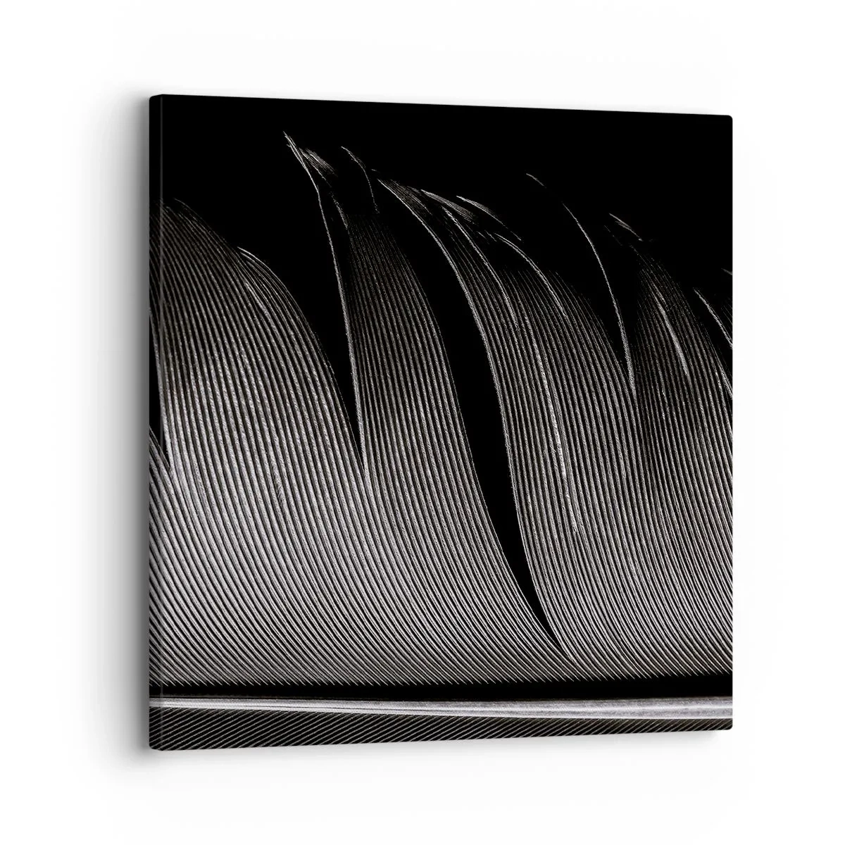 Cuadro sobre lienzo - Impresión de Imagen - Pluma - una construcción maravillosa - 30x30 cm