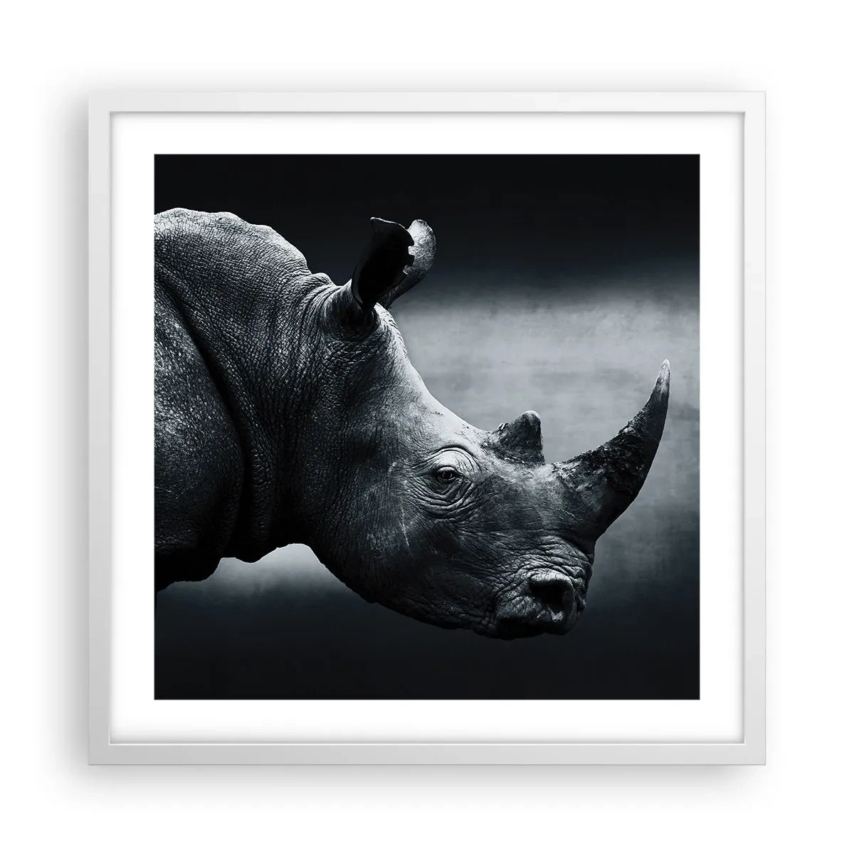 Póster en marco blanco - Perfil derecho - 50x50 cm