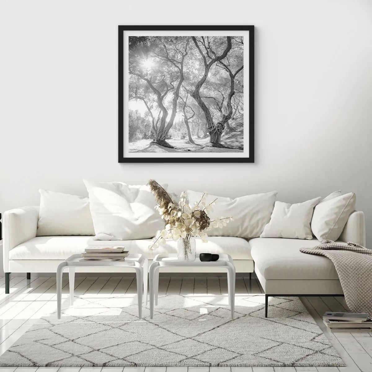 Póster en marco negro - En un olivar - 40x40 cm