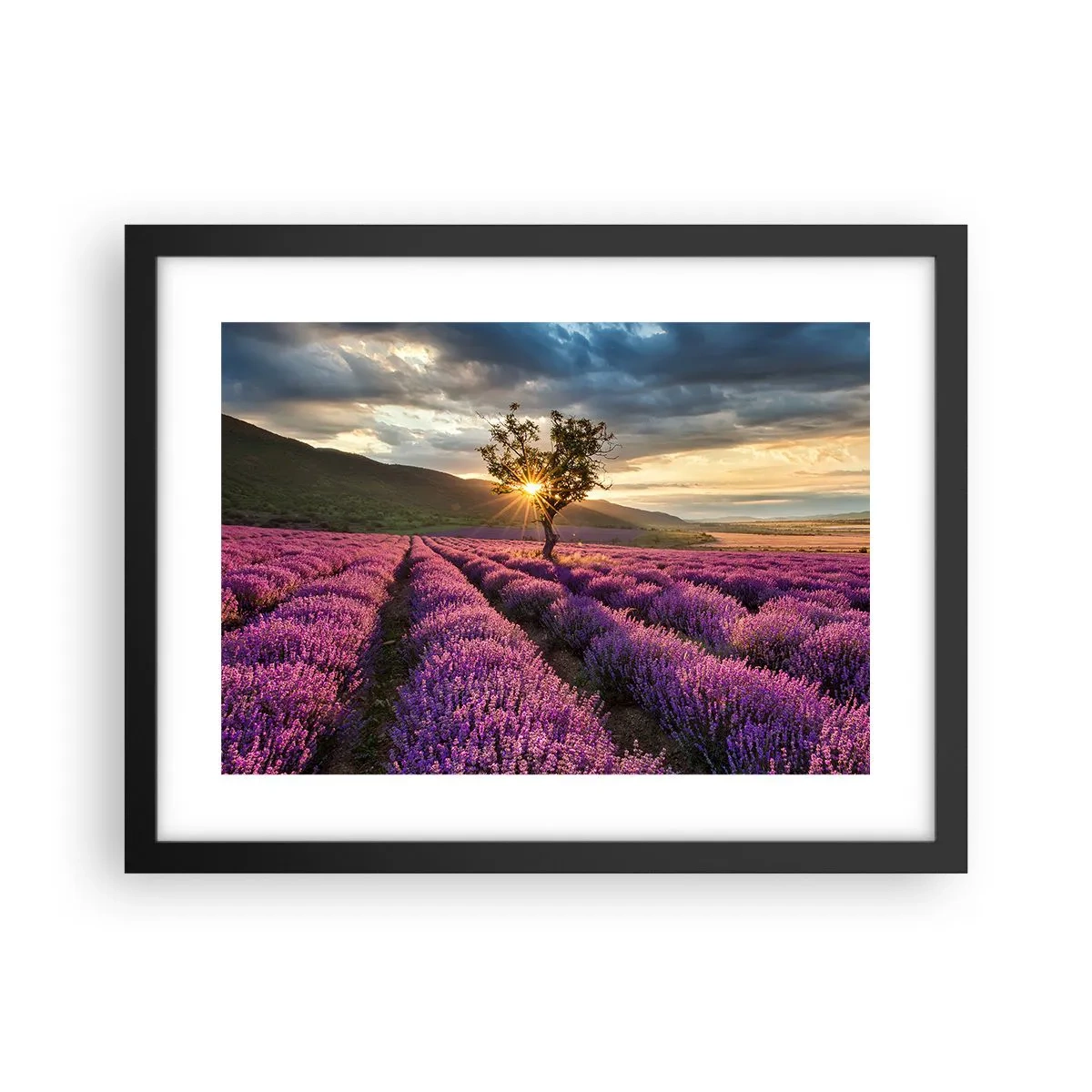Póster en marco negro - Aroma en lila - 40x30 cm
